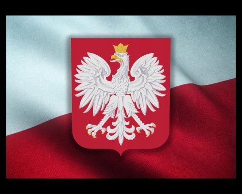 Naklejka na kieszeń tablicy ADR 300x400