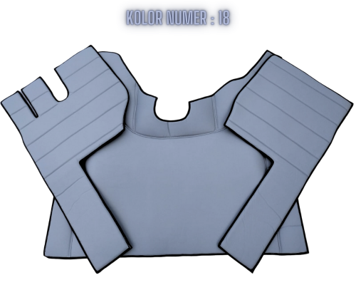 Dywaniki-premium-class-Volvo-fh4-fh5