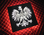 Tablica nad łóżko do ciężarówki 50x50 12,24 V  orzeł